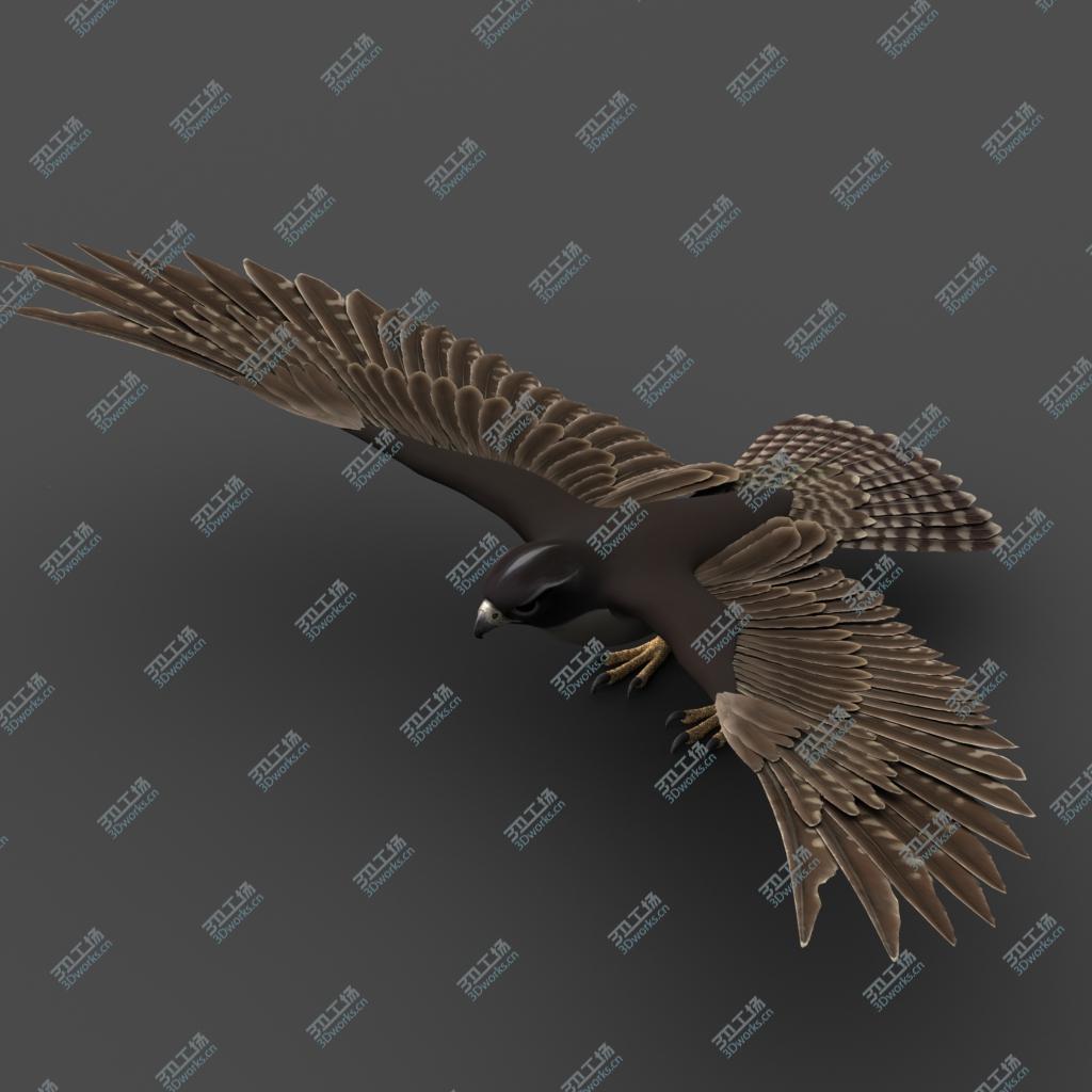 images/goods_img/202105071/Falcon 3D model/4.jpg